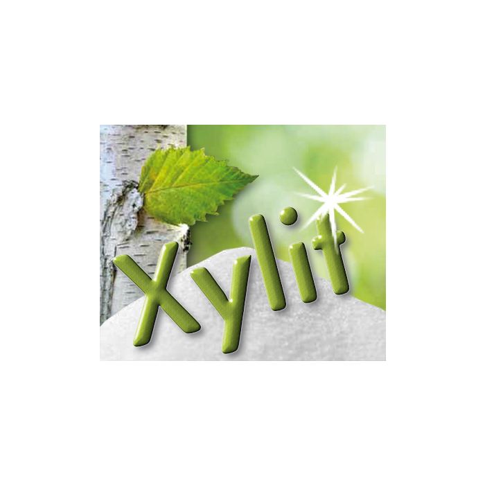 Xylit Birkenzucker STARTER-SET bestellen Xylit Birkenzucker STARTER-SET bestellen