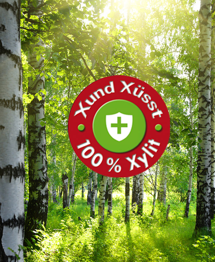 Xylit Birkenzucker Pulver